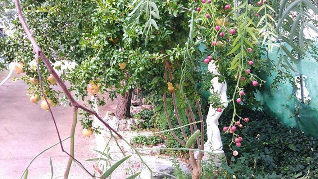 Alojamiento Rural La Caseria De Piedra Restaurante Хаен Екстер'єр фото